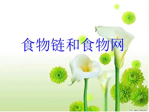 食物链和食物网食物链和食物网(有用)