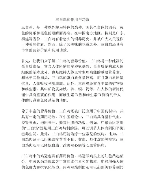 三白鸡的作用与功效