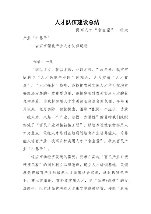 人才队伍建设总结