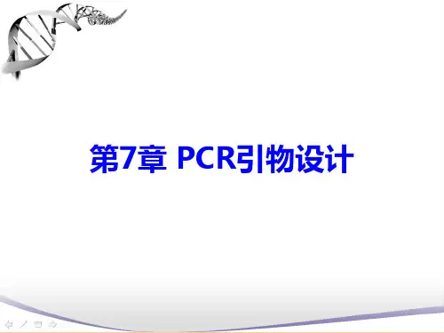 PCR引物设计