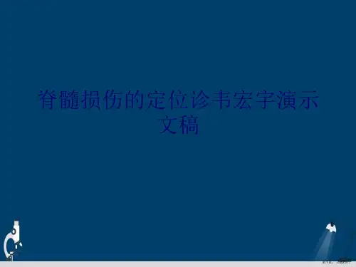 脊髓损伤的定位诊韦宏宇演示文稿