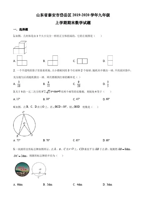 山东省泰安市岱岳区2019-2020学年九年级上学期期末数学试题