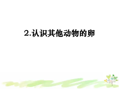 教科版小学科学三年级下册2-2 《认识其他动物的卵》课件PPT