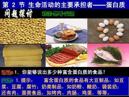 1-2-2生命活动的主要承担者----蛋白质