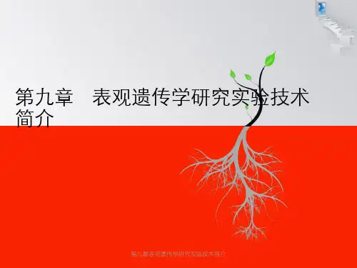 第九章表观遗传学研究实验技术简介