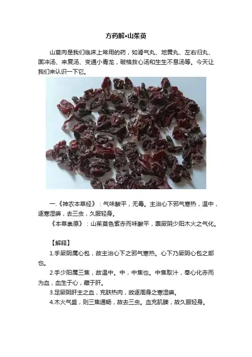 方药解·山茱萸