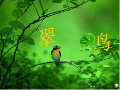 三年级语文下册     5、翠鸟PPT课件