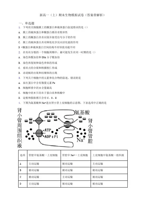新高一(上)期末生物模拟试卷(答案带解析)