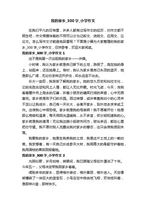 我的家乡_300字_小学作文