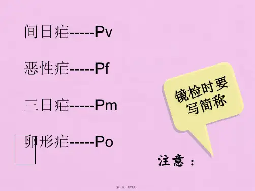 四种疟原虫镜下图(1)