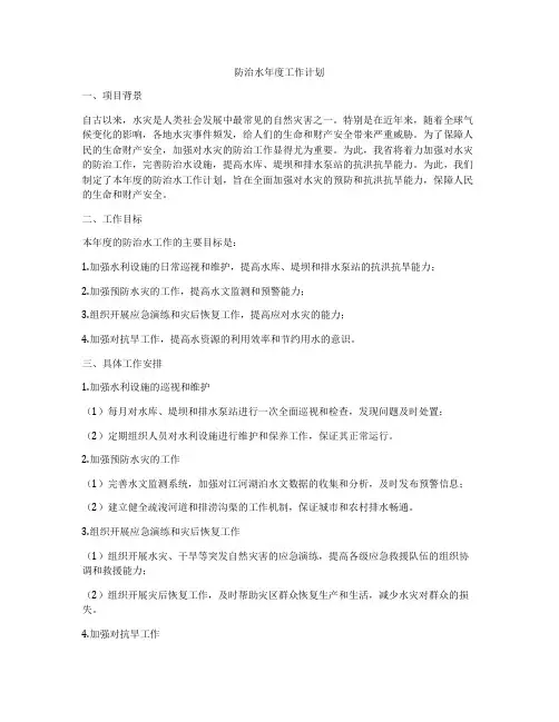 防治水年度工作计划