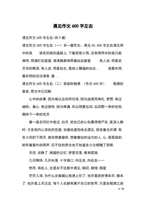 遇见作文600字左右