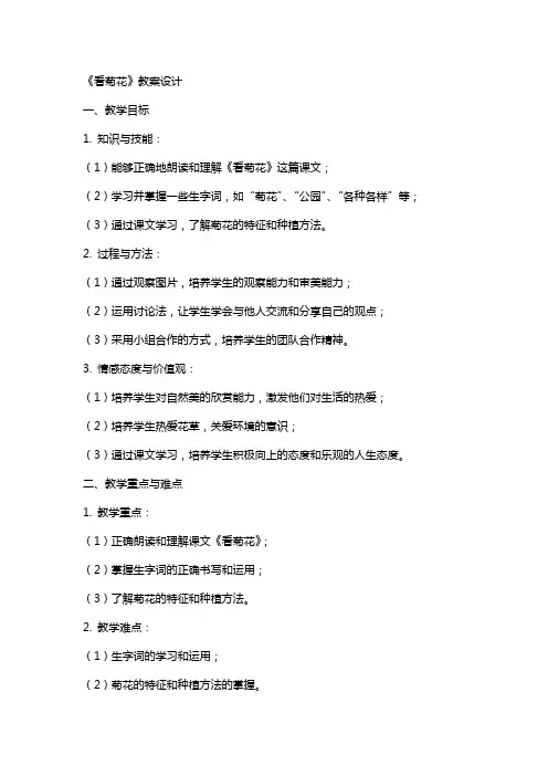 《看菊花》教案设计