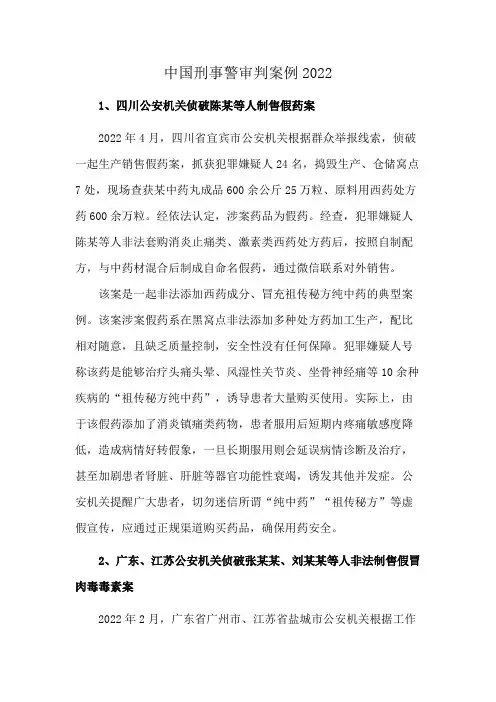 中国刑事警审判案例2022