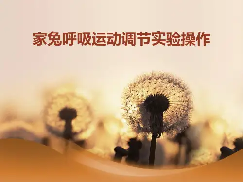 家兔呼吸运动调节实验操作
