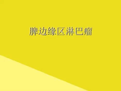 脾边缘区淋巴瘤PPP文档(最全版)