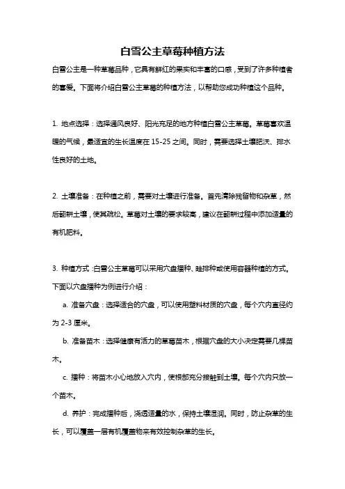 白雪公主草莓种植方法
