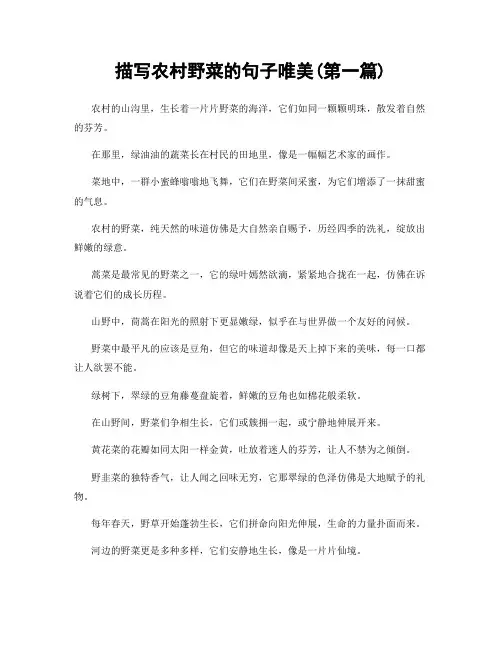 描写农村野菜的句子唯美(精选合集两篇)