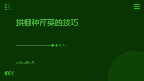 拱棚种芹菜的技巧