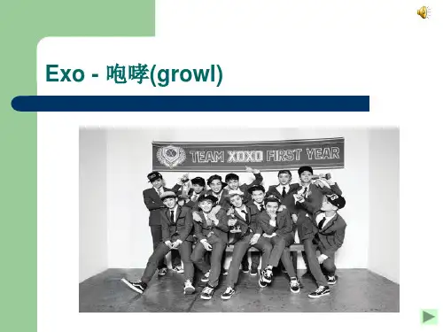 Exo咆哮歌曲介绍ppt