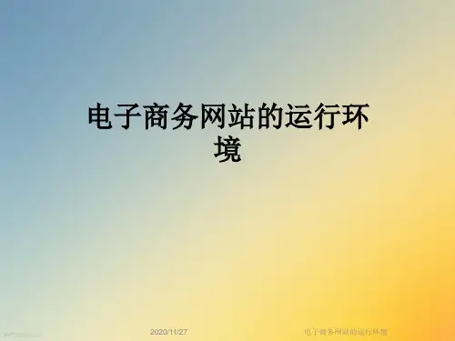 电子商务网站的运行环境