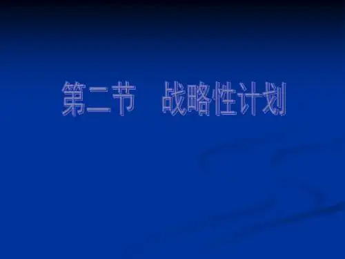 第二节 战略性计划