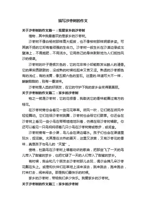 关于描写沙枣树的作文