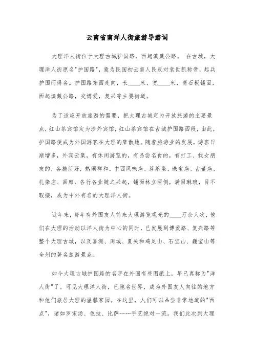 云南省南洋人街旅游导游词（2篇）