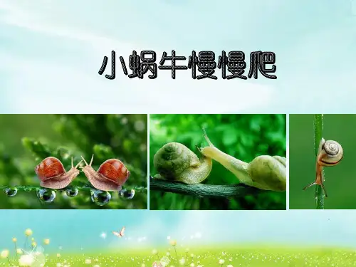小学美术_《小蜗牛慢慢爬》教学课件设计