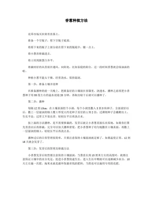 香葱种植方法