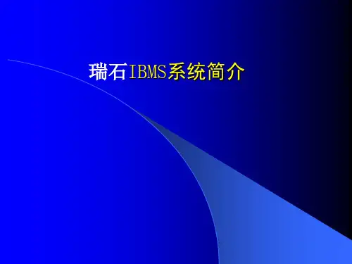 IBMS简介