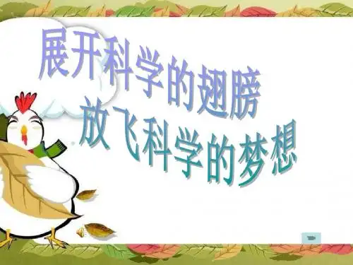大象版小学科学四年级上册《鱼儿的奥秘》精美课件