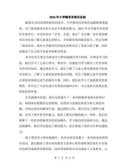 2024年小学辅导员培训总结