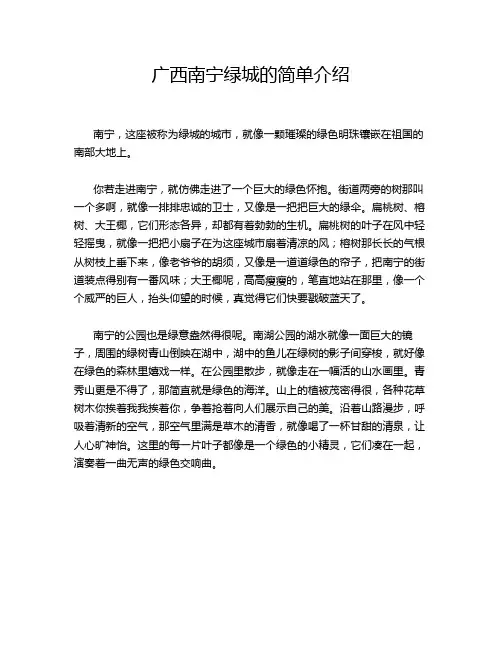 广西南宁绿城的简单介绍
