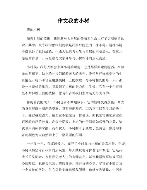 作文我的小树