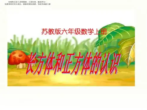 苏教版数学六年级上册《长方体和正方体的认识》优质课ppt课件