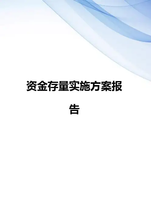 【精编】资金存量实施方案报告