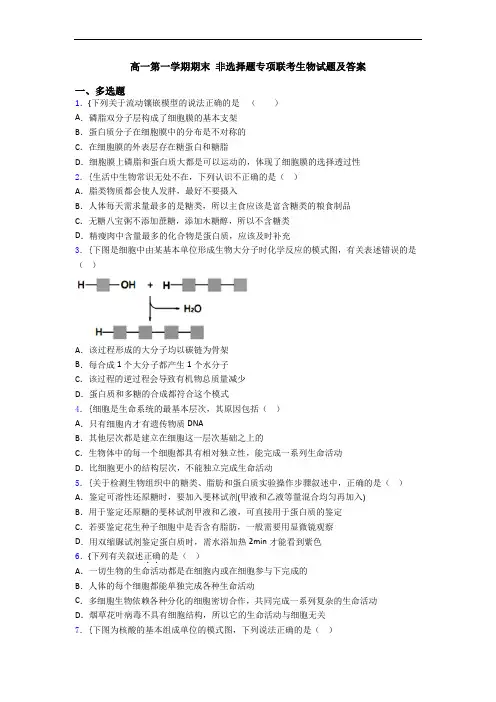 高一第一学期期末 非选择题专项联考生物试题及答案