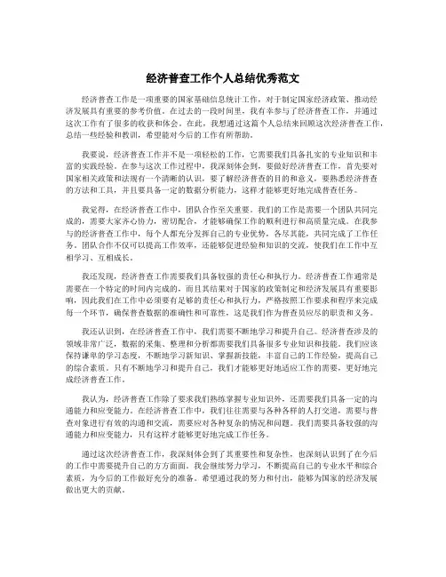 经济普查工作个人总结优秀范文