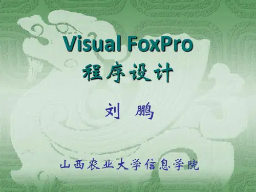 第二章 Visual FoxPro 9.0概述