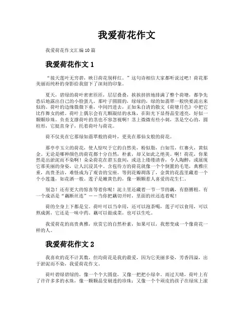 我爱荷花作文