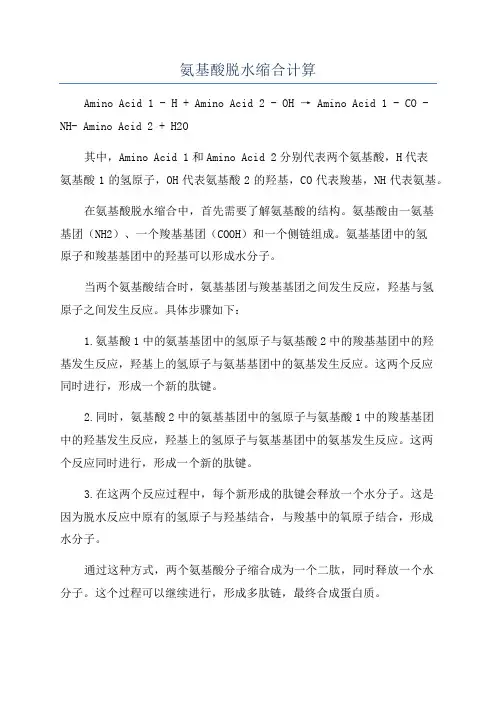 氨基酸脱水缩合计算
