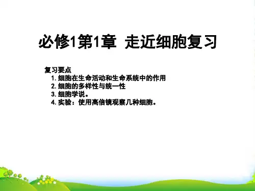人教版高中生物必修1 第1章 走近细胞复习(课件) (共15张PPT)