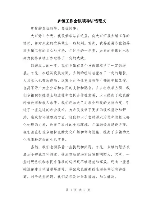 乡镇工作会议领导讲话范文