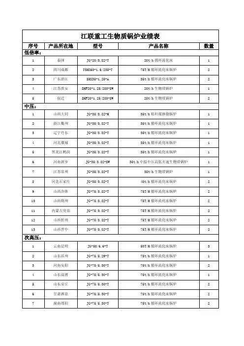 江联重工生物质锅炉业绩表