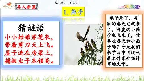 最新苏教版2019年完整的三年级语文下册第一课《燕子》课件含课堂检测