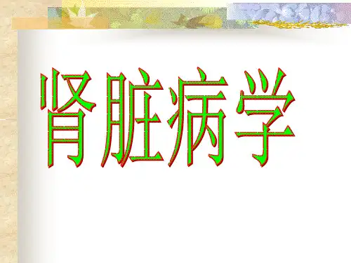 肾炎-肾综、尿感、肾衰PPT课件
