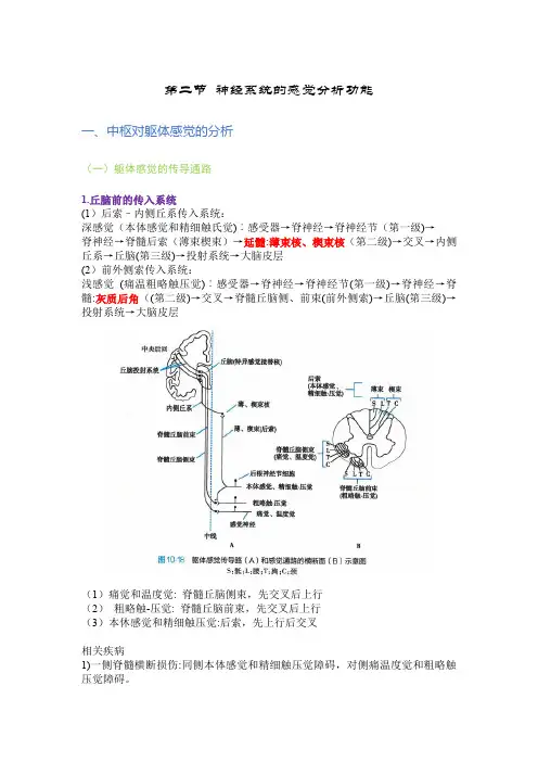 生理学考研侯英建老师笔记——神经系统(二)
