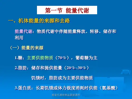 能量代谢和体温最新课件