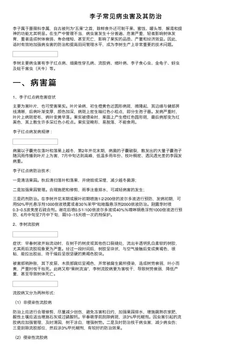 李子常见病虫害及其防治